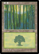 214s-forest