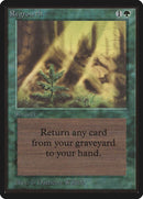 215-regrowth