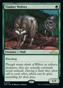 215-timberwolves