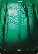 216-forest