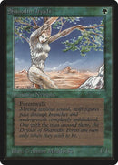 217-shanodindryads