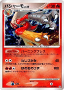 22-blaziken