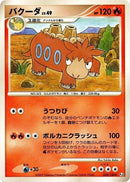 22-camerupt