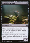 224-drainpipevermin
