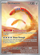 224-orthworm