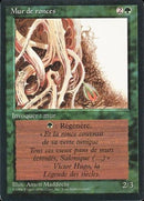 224-wallofbrambles
