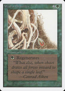 224-wallofbrambles