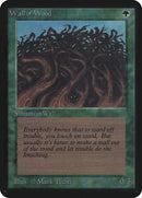 225-wallofwood