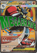 228-megalucarioex