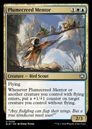 228-plumecreedmentor