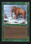 228-warmammoth