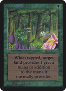 229-wildgrowth