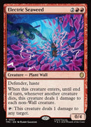 23-electricseaweed