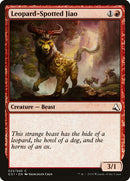 23-leopardspottedjiao