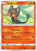 23-litten