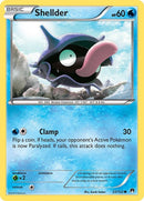 23-shellder