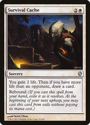 23-survivalcache