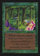 230-wildgrowth