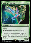 235-birdsofparadise