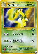 24-bayleef