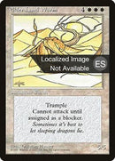 24-elderlandwurm