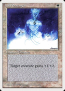 24-holystrength