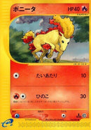24-ponyta