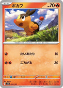 24-tepig