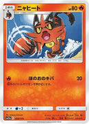 24-torracat