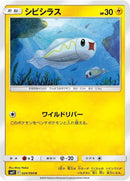 24-tynamo