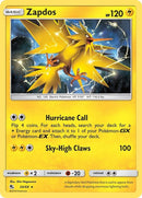 24-zapdos