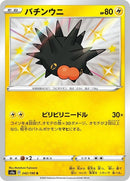 242-pincurchin