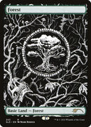 243-forest