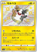 243-morpeko