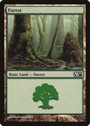 246-forest