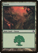 246-forest