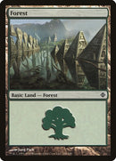 246-forest