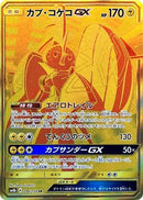 246-tapukokogx