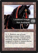 247-ebonyhorse