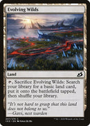 247-evolvingwilds