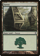 247-forest