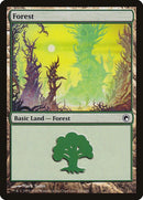 248-forest