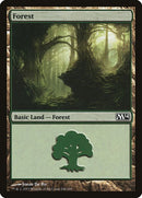 248-forest