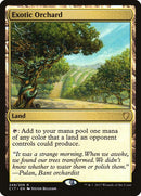 249-exoticorchard