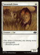 249-savannahlions