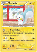 25-pachirisu