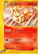 25-rapidash