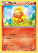 25-torchic