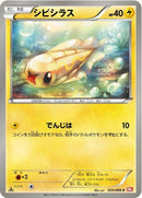 25-tynamo