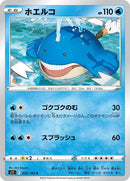 25-wailmer